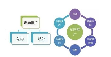 2021年淘寶客實戰指南 玩轉搜索權重與站內推廣